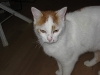 01-[2009-02-13] Timmy nach Duell1.tn.jpg