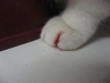 02-[2009-02-13] Timmy nach Duell1.tn.jpg