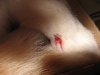 03-[2009-02-13] Timmy nach Duell1.tn.jpg