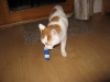 04-[2009-02-13] Timmy nach Duell1.tn.jpg
