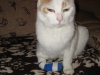 05-[2009-02-13] Timmy nach Duell1.tn.jpg