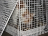 05-[2009-02-12] Katzenkorb1.tn.jpg