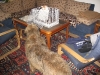 07-[2009-02-12] Katzenkorb1.tn.jpg
