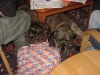 03-Scotty und Xenia1.tn.jpg