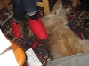 11-Scotty und Xenia2.tn.jpg