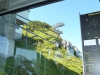 2010-08-22_11-55-30