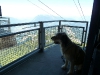 2010-08-22_12-00-24
