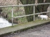 04 - an der Zwester Ohm1.tn.jpg