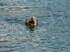 2010-08-21_15-38-32