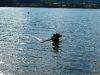 2010-08-25_15-57-24