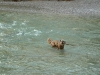 2010-08-27_17-19-00
