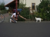2009_09_20_14_19_19.jpg