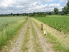 Scotty und Timmy spielen4.tn.jpg