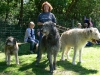 Hund gross1