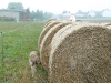 3-2010-09-03_07-31-22