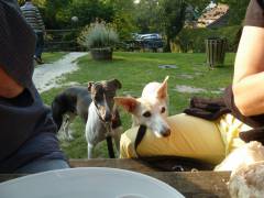 England_201253