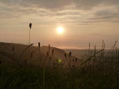 England_201269