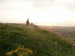 England_201272