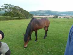 England_201292
