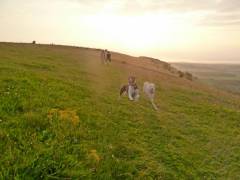 england_201257_1