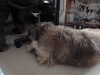 2010-12-05_13-16-33