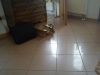 2010-12-25_12-07-30