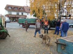 Herbstputz1