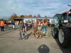 Herbstputz6
