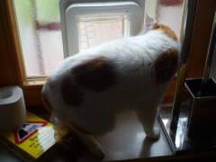 Ich-will-hier-raus11