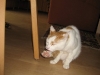 2009_07_26_08_19_22.jpg