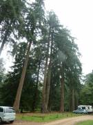 England_2012170