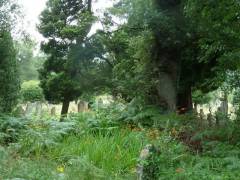 England_2012174