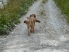 2010-09-01_14-45-38