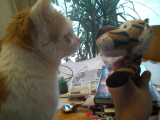 Timmy und Tiger