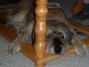 2010-08-28_22-26-56