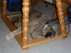 2010-08-28_23-03-34