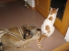 2009_06_07_21_18_51.jpg