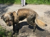 2009_06_13_13_48_46.jpg
