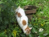 2009_06_14_18_09_19.jpg