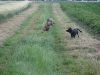 2009_06_21_16_29_30.jpg