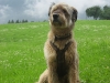 2009_06_29_14_26_12.jpg