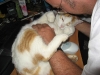 2009_07_10_21_37_54.jpg