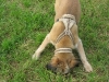 2009_08_10_16_49_04.jpg