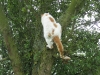 2009_08_12_10_34_45.jpg