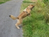 2009_08_13_12_44_18.jpg