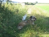 2009_08_16_09_50_27.jpg