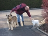 01-[Jan_2009] Spaziergang mit Scotty und Timmy1.tn.jpg