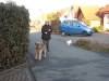 02-[Jan_2009] Spaziergang mit Scotty und Timmy2.tn.jpg