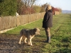 03-[Jan_2009] Spaziergang mit Scotty und Timmy3.tn.jpg