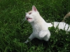 2010-05-28_14-47-33
